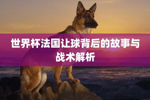 世界杯法国让球背后的故事与战术解析