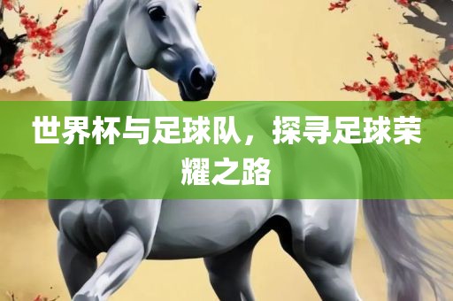 世界杯与足球队，探寻足球荣耀之路