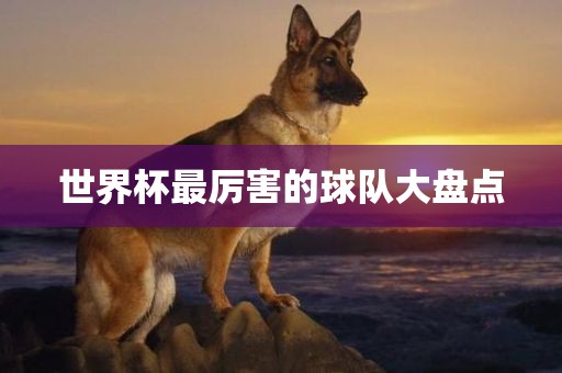 世界杯最厉害的球队大盘点