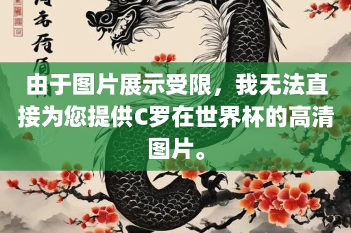 由于图片展示受限，我无法直接为您提供C罗在世界杯的高清图片。