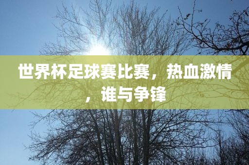 世界杯足球赛比赛，热血激情，谁与争锋