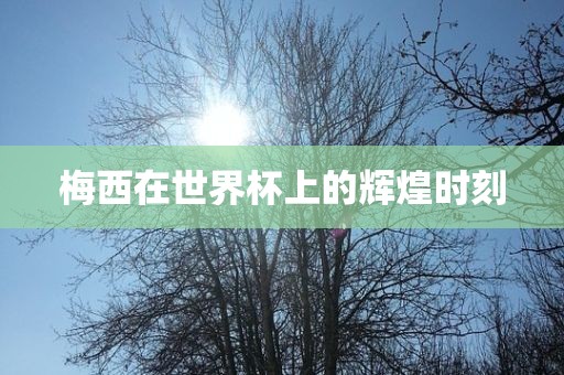 梅西在世界杯上的辉煌时刻