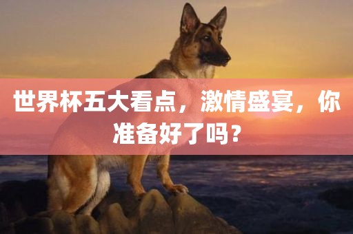 世界杯五大看点，激情盛宴，你准备好了吗？