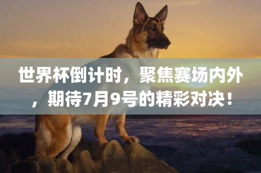 世界杯倒计时，聚焦赛场内外，期待7月9号的精彩对决！