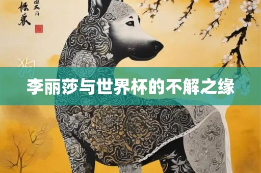 李丽莎与世界杯的不解之缘