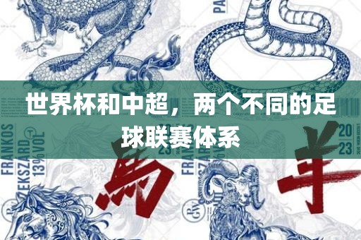 世界杯和中超，两个不同的足球联赛体系