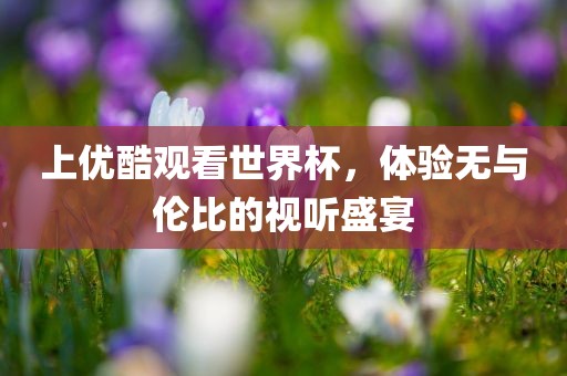 上优酷观看世界杯，体验无与伦比的视听盛宴