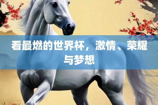 看最燃的世界杯，激情、荣耀与梦想衡水勇创橡塑制品有限公司