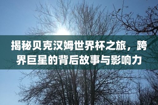 揭秘贝克汉姆世界杯之旅，跨界巨星的背后故事与影响力