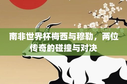 南非世界杯梅西与穆勒，两位传奇的碰撞与对决