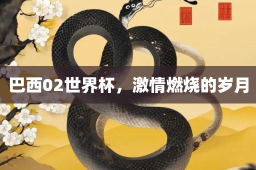 巴西02世界杯，激情燃烧的岁月