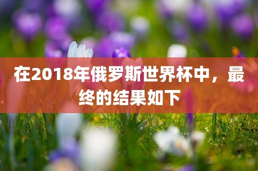 在2018年俄罗斯世界杯中，最终的结果如下