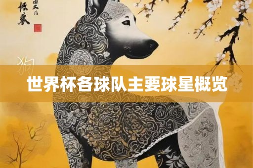 世界杯各球队主要球星概览