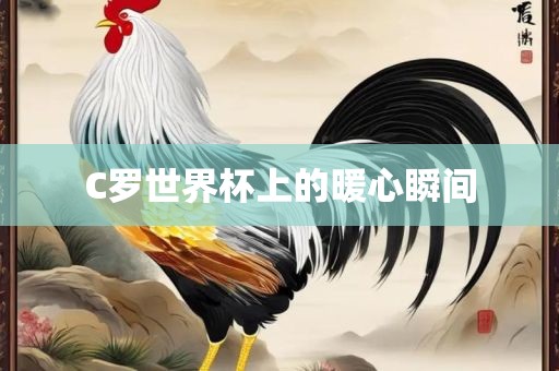 C罗世界杯上的暖心瞬间