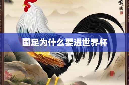 国足为什么要进世界杯