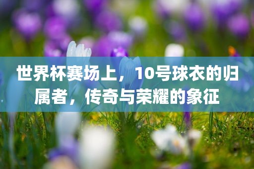 世界杯赛场上，10号球衣的归属者，传奇与荣耀的象征