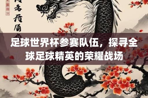 足球世界杯参赛队伍，探寻全球足球精英的荣耀战场