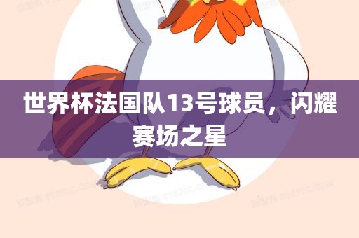 世界杯法国队13号球员，闪耀赛场之星