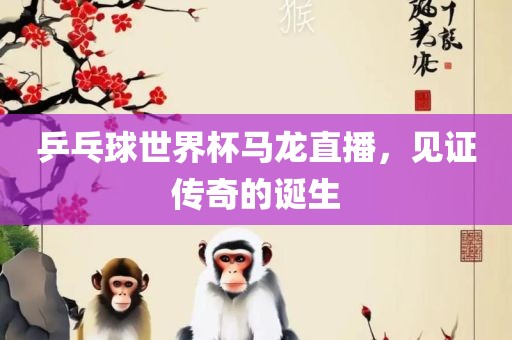 乒乓球世界杯马龙直播，见证传奇的诞生