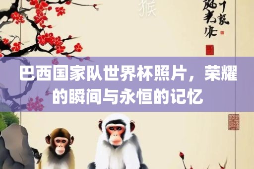 巴西国家队世界杯照片，荣耀的瞬间与永恒的记忆