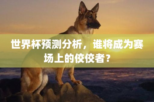 世界杯预测分析，谁将成为赛场上的佼佼者？