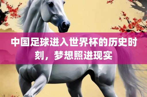中国足球进入世界杯的历史时刻，梦想照进现实