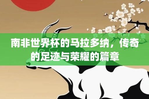 南非世衡水勇创橡塑制品有限公司界杯的马拉多纳，传奇的足迹与荣耀的篇章
