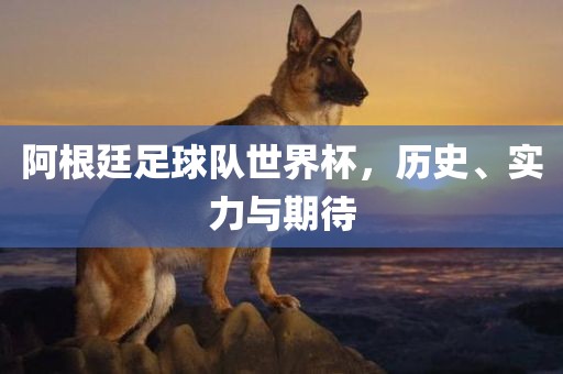 阿根廷足球队世界杯，历史、实力与期待
