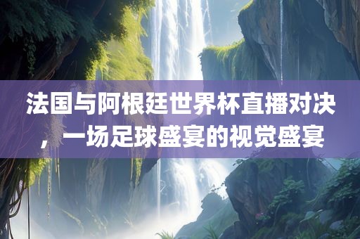 法国与阿根廷世界杯直播对决，一场足球盛宴的视觉盛宴