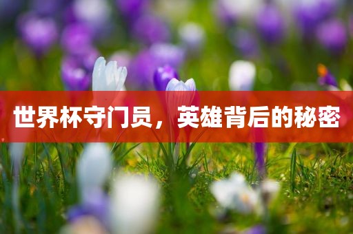 世界杯守门员，英雄背后的秘密
