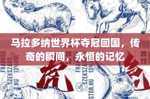 马拉多纳世界杯夺冠回国，传奇的瞬间，永恒的记忆衡水勇创橡塑制品有限公司