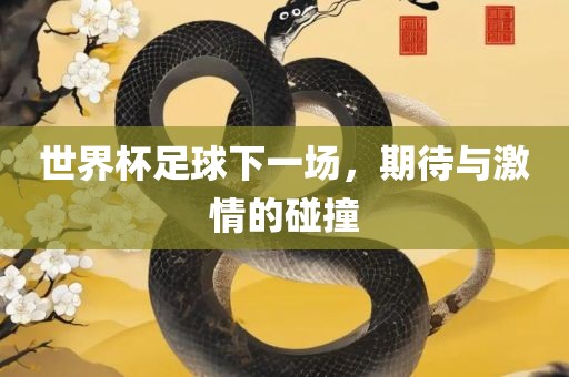 世界杯足球下一场，期待与激情的碰撞衡水勇创橡塑制品有限公司