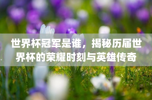 世界杯冠军是谁，揭秘历届世界杯的荣耀时刻与英雄传奇