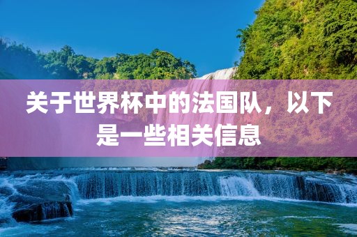 关于世界杯中的法国队，以下是一些相关信息