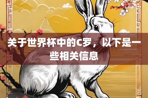 关于世界杯中的C罗，以下是一些相关信息