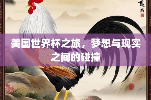 美国世界杯之旅，梦想与现实之间的碰撞