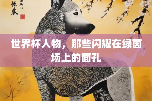 世界杯人物，那些闪耀在绿茵场上的面孔
