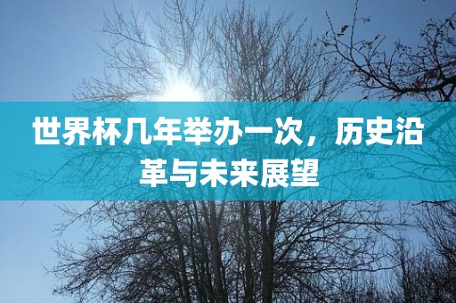 世界杯几年举办一次，历史沿革与未来展望衡水勇创橡塑制品有限公司