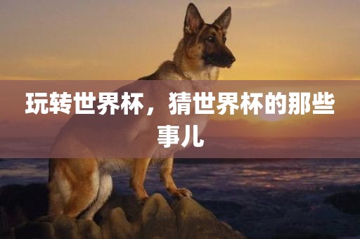 玩转世界杯，猜世界杯的那些事儿