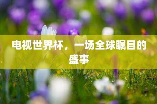 电视世界杯，一场全球瞩目的盛事