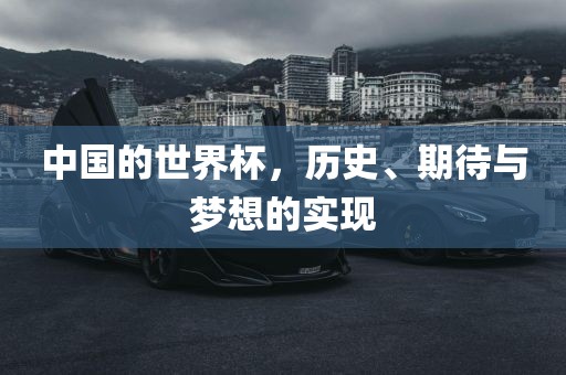 中国的世界杯，历史、期待与梦想的实现衡水勇创橡塑制品有限公司