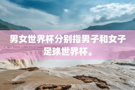 男女世界杯分别指男子和女子足球世界杯。衡水勇创橡塑制品有限公司