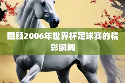 回顾2006年世界杯足球赛的精彩瞬间