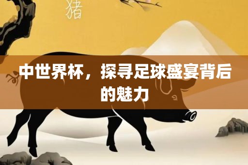 中世界杯，探寻足球盛宴背后的魅力