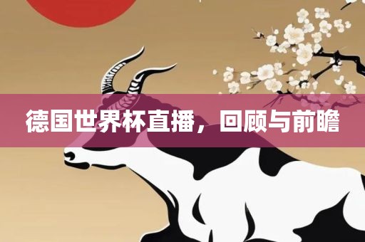 德国世界杯直播，回顾与前瞻