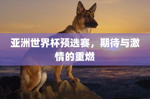 亚洲世界杯预选赛，期待与激情的重燃