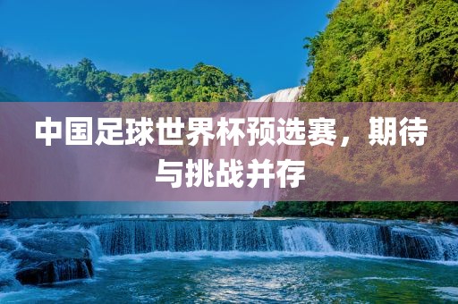 中国足球世界杯预选赛，期待与挑战并存衡水勇创橡塑制品有限公司