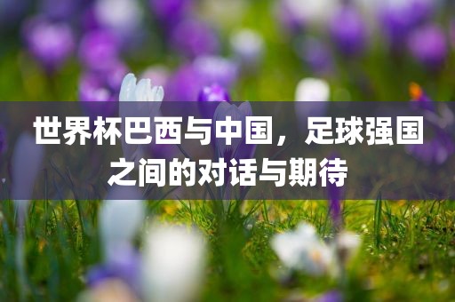 世界杯巴西与中国，足球强国之间的对话与期待