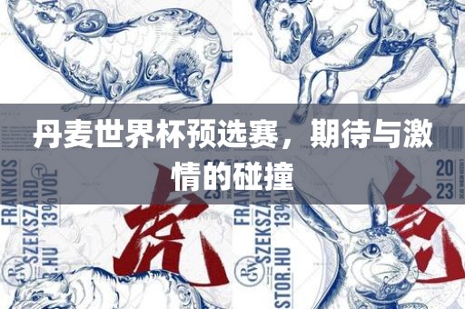 丹麦世界杯预选赛，期待与激情的碰撞