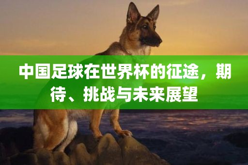 中国足球在世界杯的征途，期待、挑战与未来展望